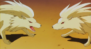 Ninetales vs