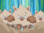 Primeape usando doble equipo