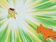 EP012 Weepinbell sale volando tras el cabezazo de Charmander