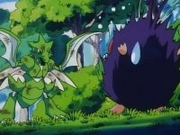 Venonat asustado