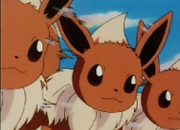 Eevee usando Multiplicacion