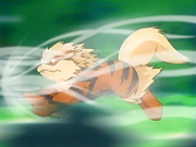 Arcanine usando velocidad extrema