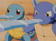 Wartortle y Squirtle