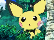 Pichu kelele