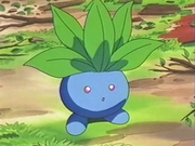 EP031 Oddish