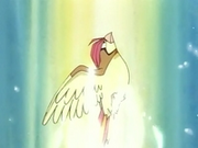 EP016 Pidgeotto de Brandon