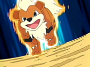 Growlithe