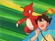 Charmeleon y Nacho atacando