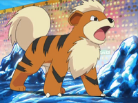 Growlithe de Vicho