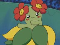 Bellossom