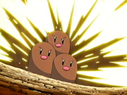 Dugtrio usando doble filo