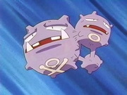 Weezing(2)