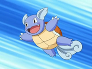 Wartortle