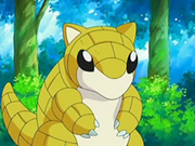 Sandshrew