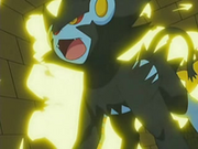 Luxray