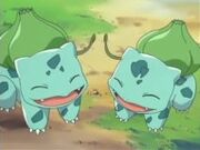 Bulbasaur de Ash y May