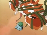 Bulbasaur aprisionando a Kingler con látigo cepa