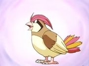 EP016 Imaginando a Pidgeotto