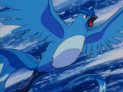 Articuno2