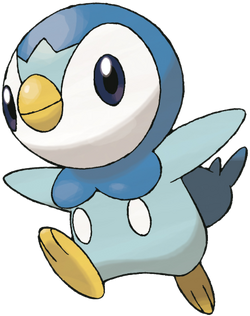 Piplup 2