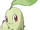 Chikorita (Duncan)