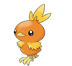 Torchic 3.png