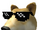 Deal with it doge