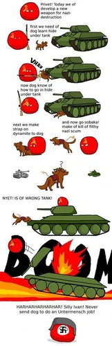 1186735 429827533803743 497574230 n.jpg