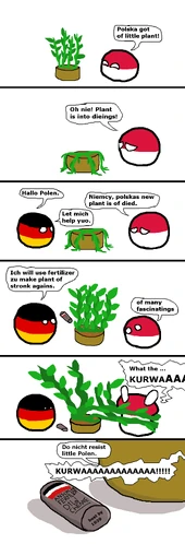 Polands Plant.png
