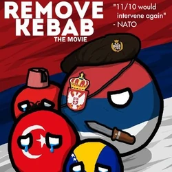 Kebab Remover.jpg