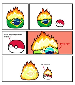 Brazilian Economic Strategy.png