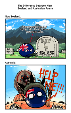 Biodiversity Differences.webp