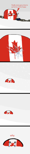 Canadian Problem.png