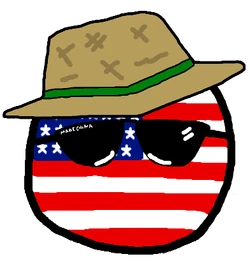USAballtourist.png