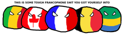 Polandball Francophones.png
