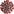 2019-nCoV.png