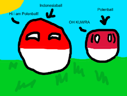 Fakepolenball.png