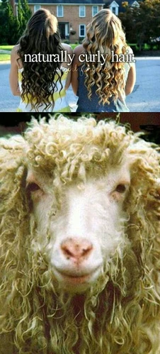 1234233 574983689204100 502616701 n.jpg