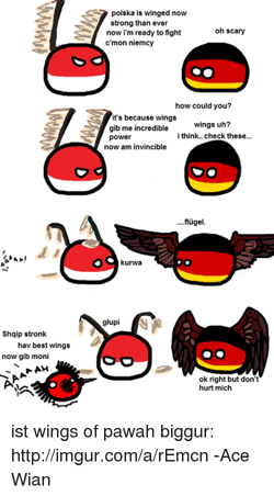 Shqip-stronk-hav-best-wings-now-gib-moni-ah-polska-6272396.png