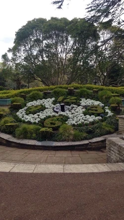 12019957 1267102316648525 6797979478664067367 n.jpg