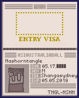 my visa