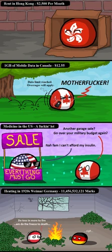 Expensive Necessities.png