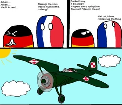 France Germany - Allergy.jpg