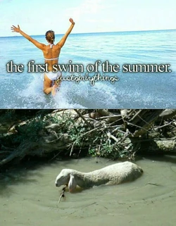 1231702 576289285740207 986103126 n.jpg