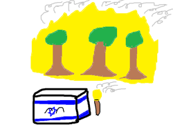 Fire forest israelcube.png