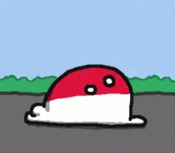 Squishy Poland.gif