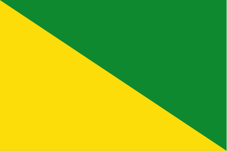 750px-Flag of Ica.svg.png