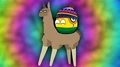 Bolivia_On_The_Llama_-_COUNTRYBALLS