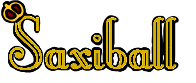 Saxilogo.png