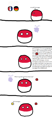PolandballCoscience.png
